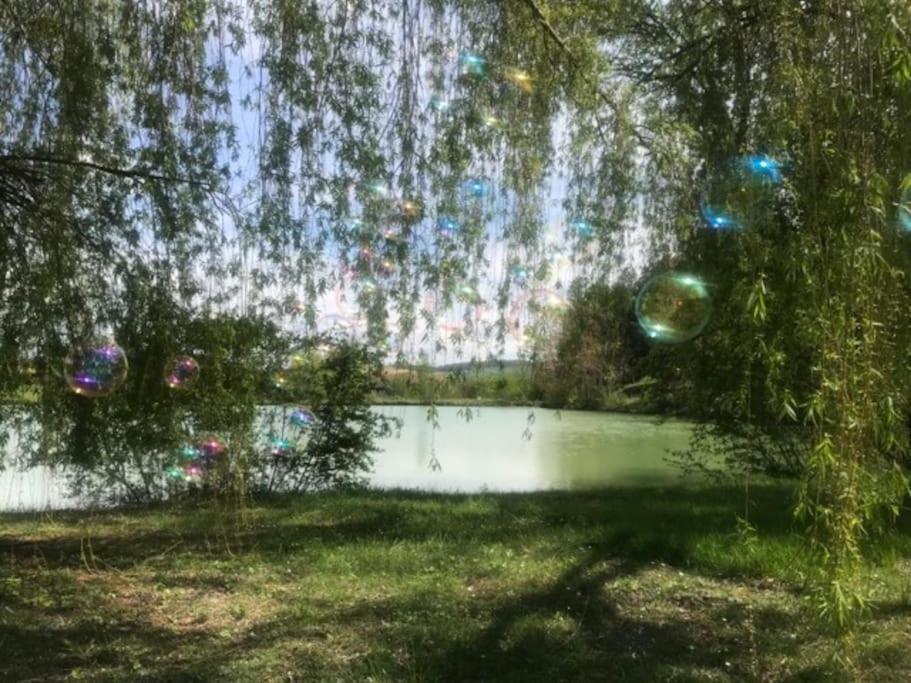Chalet Au Milieu De La Foret Avec Lac A Proximite Layrac Esterno foto